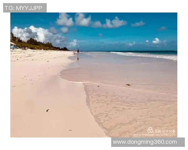 巴哈马足球明星的崛起与成就探索：从草根到国际舞台的奋斗历程