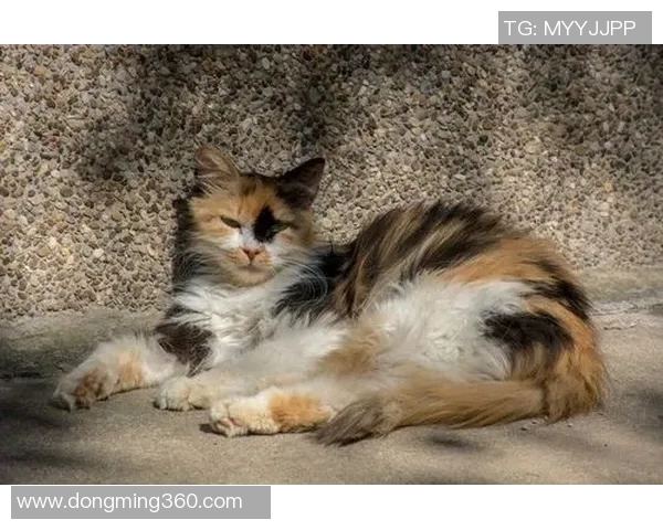 奥伦堡与喀山激战正酣谁将赢得这场精彩对决